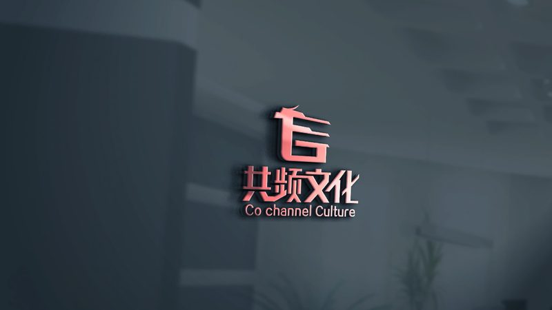 广州美妆直播代运营服务商