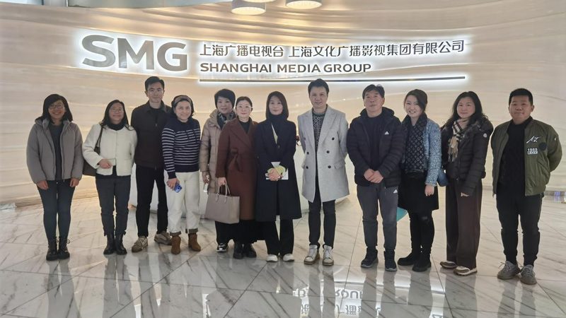 企业宣传片分类介绍标准：解码品牌传播的视觉密码